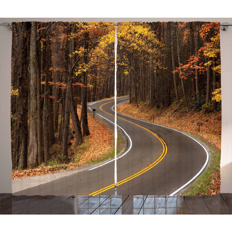 Roadway Mountains Travel Curtain