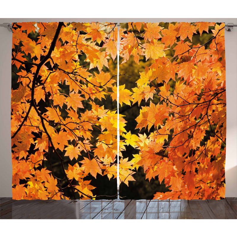 Vivid Autumn Maple Leaves Curtain