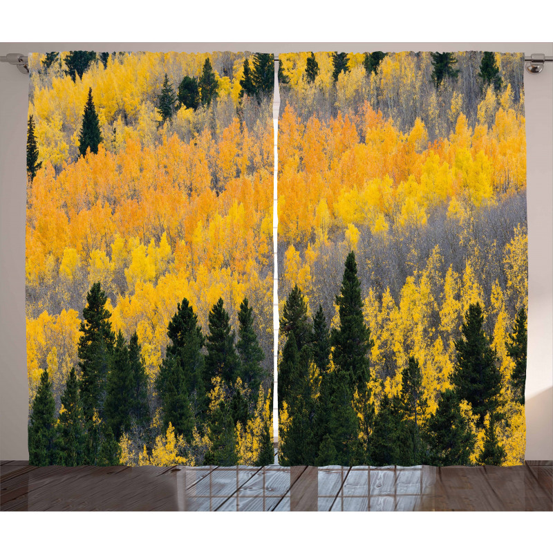 Colorful Aspen Trees USA Curtain