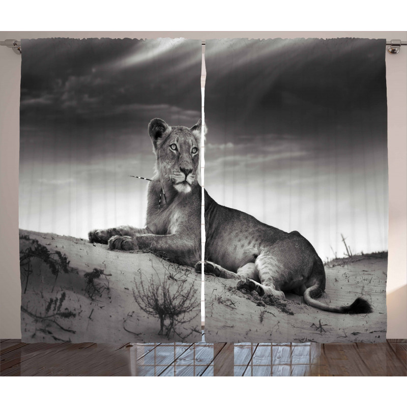 Wild Lioness Curtain