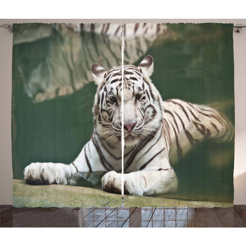 White Tiger Swimming Fun Curtain