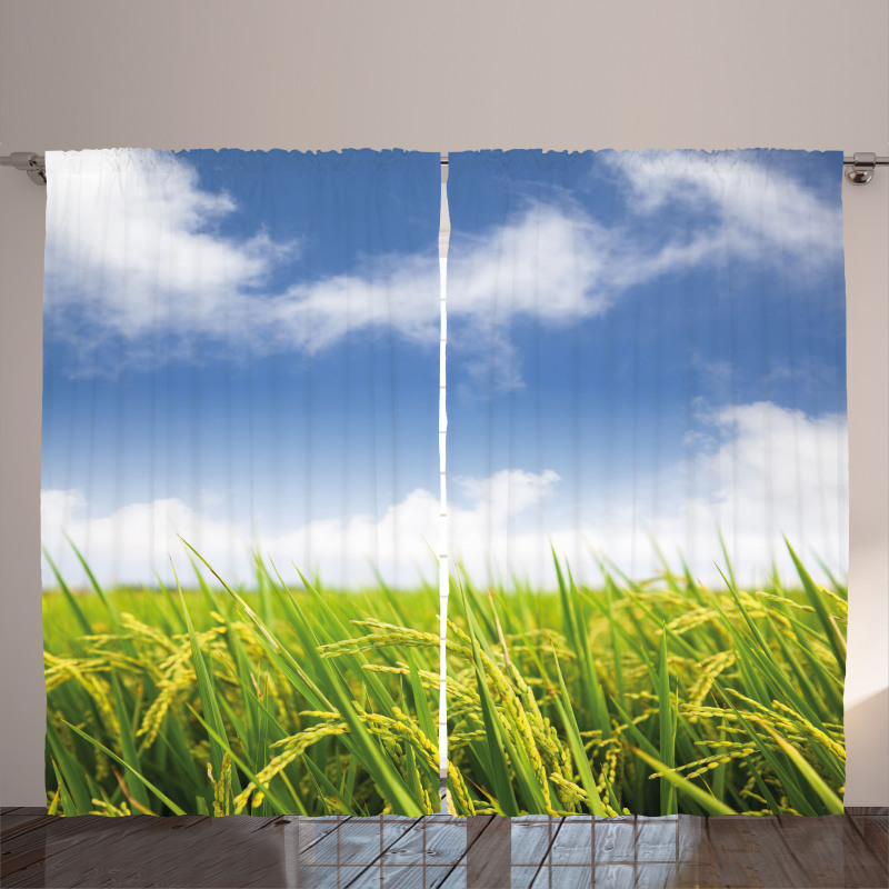 Paddy Rice Field Curtain