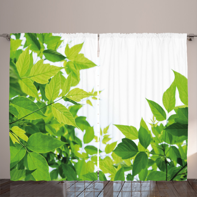 Birth of Nature Curtain