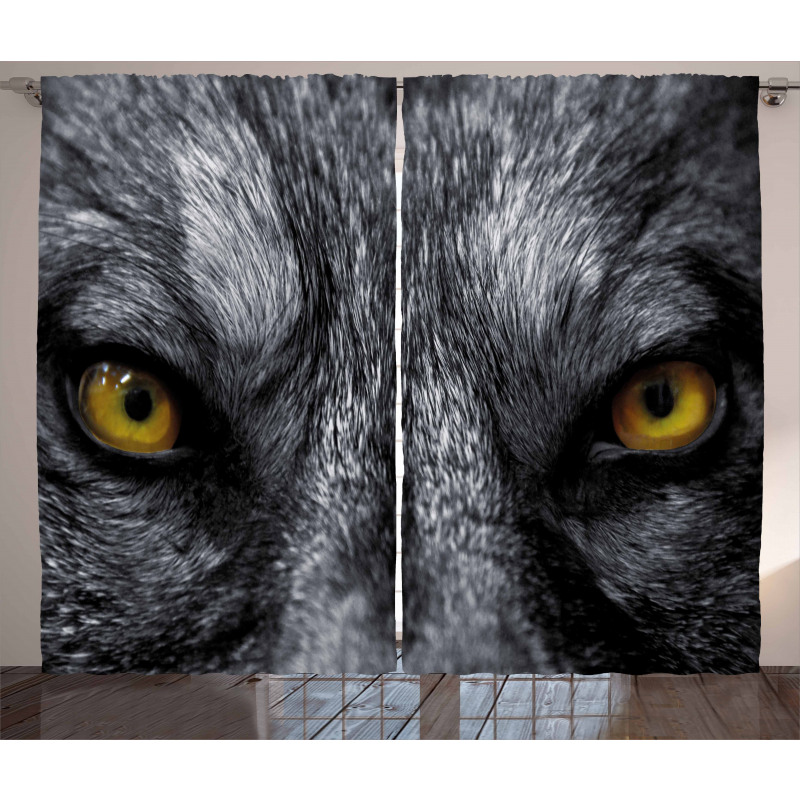 Wild Wolf Dangerous Mammal Curtain