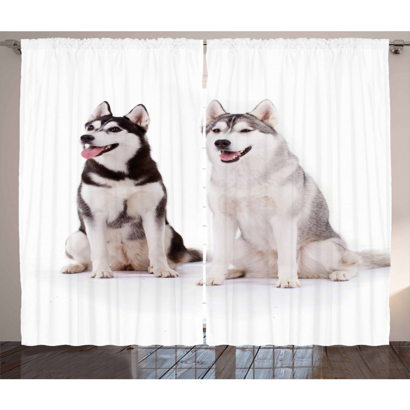 Furry Doggies Curtain