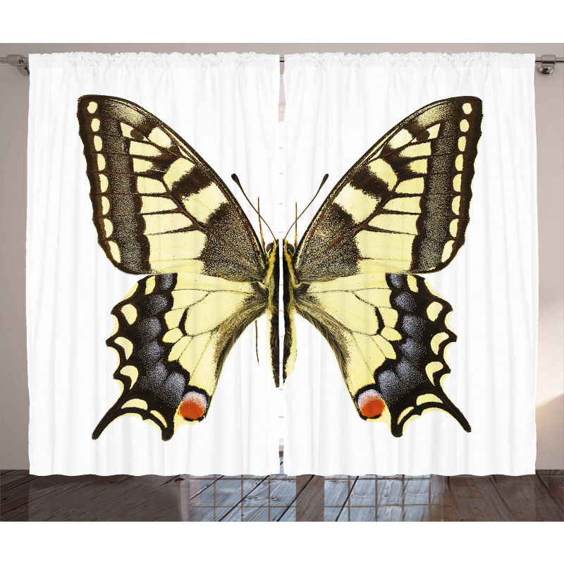 Old Papilio Curtain