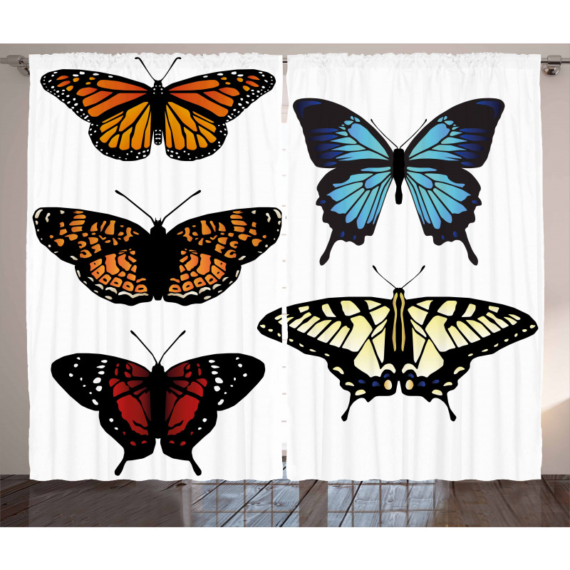 Monarch Lady Curtain