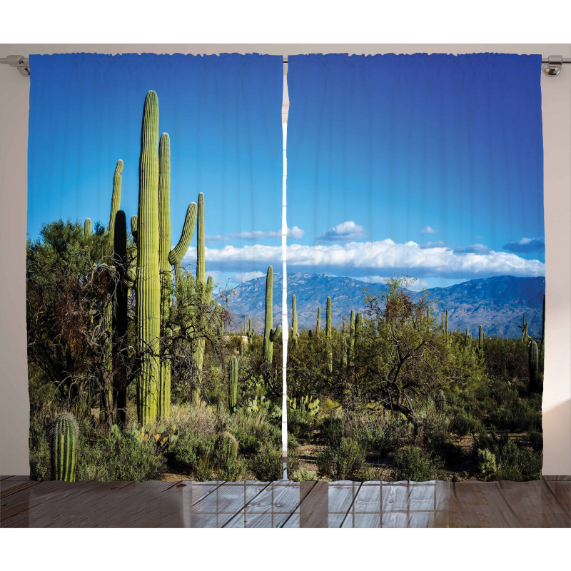 Tucson Countryside Cacti Curtain