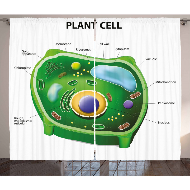 Öğretici Perde Bitki Hücresi Desenli