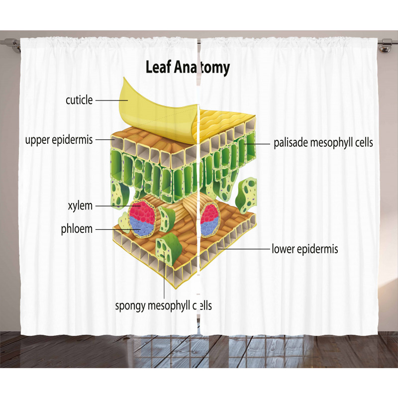 Leaf Names Theme Curtain