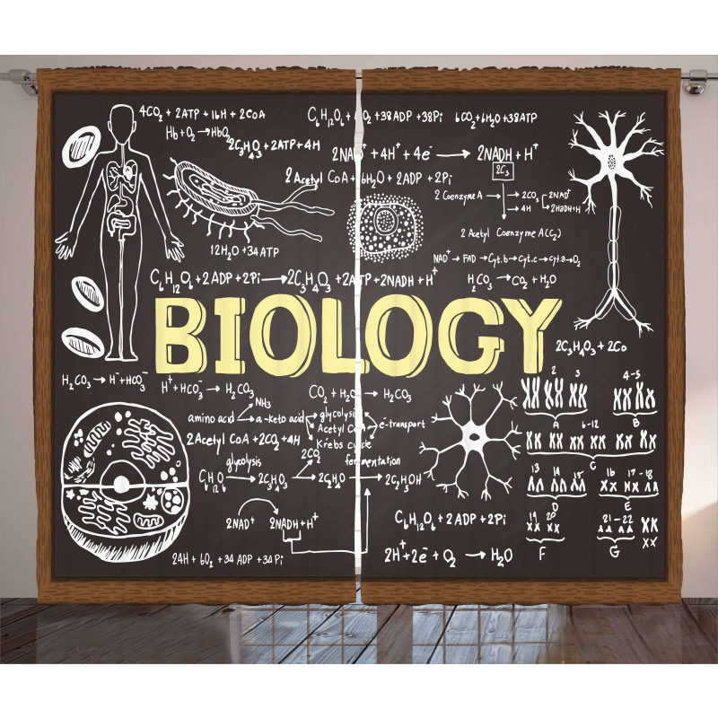 Biology Curtain