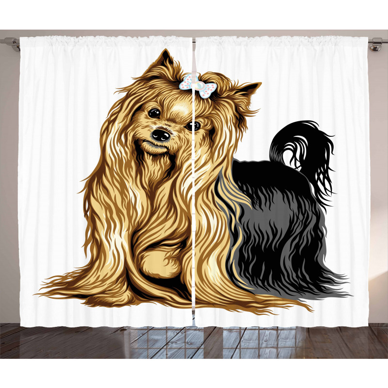 Long Haired Domestic Pet Curtain