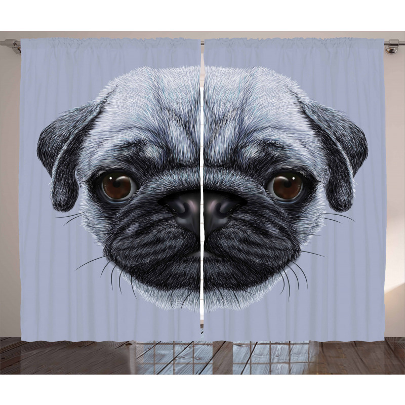 Young Puppy Giant Eyes Curtain
