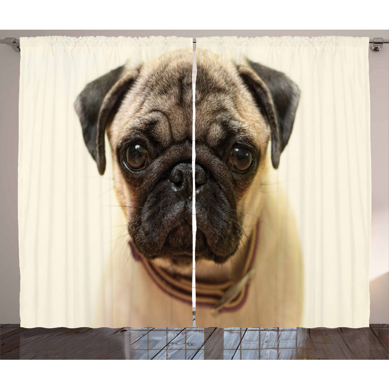 Pure Bred Dog Photograph Curtain