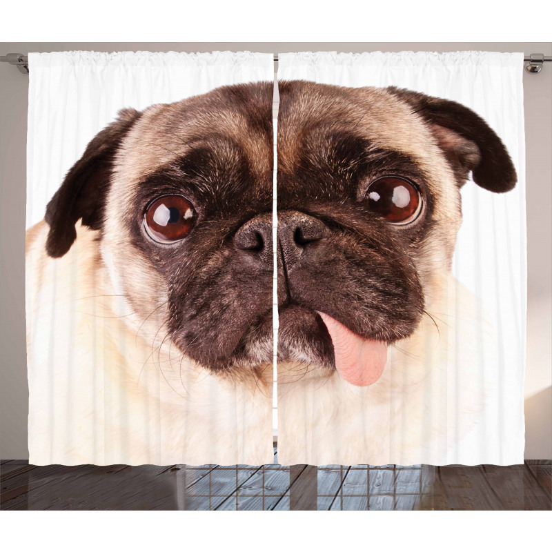 Upset Dog Sad Eyed Pet Curtain
