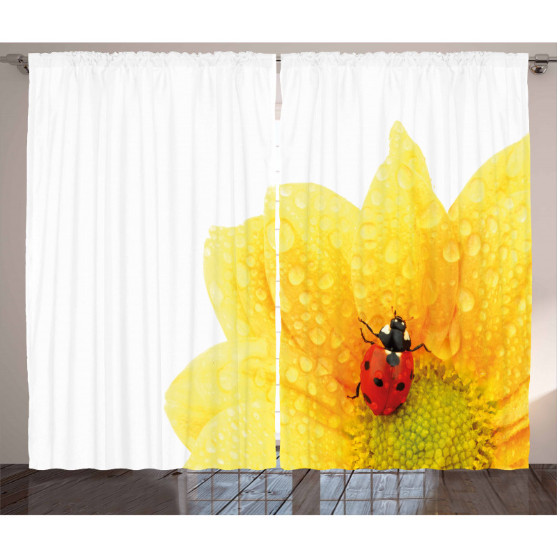 Ladybug Curtain