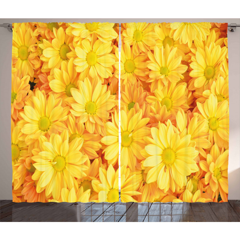 Lively Dasies Curtain