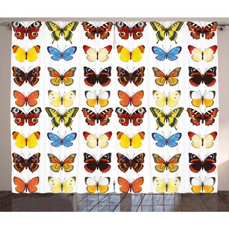 Butterflies Many Shapes Curtain