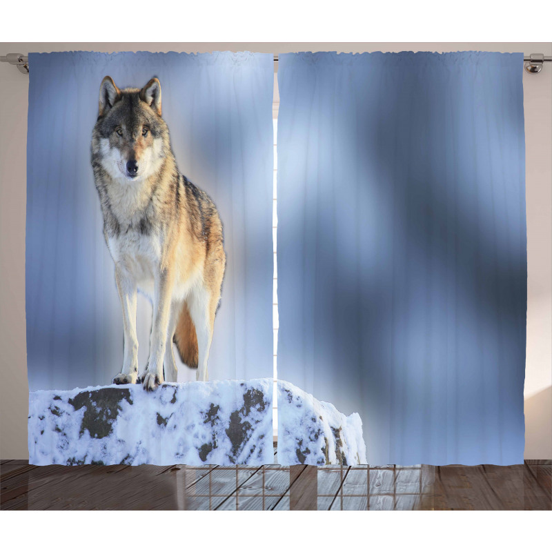 Carnivore Canine in Snow Curtain