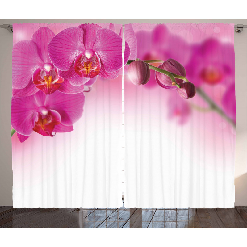 Exotic Orchid Feng Shui Curtain