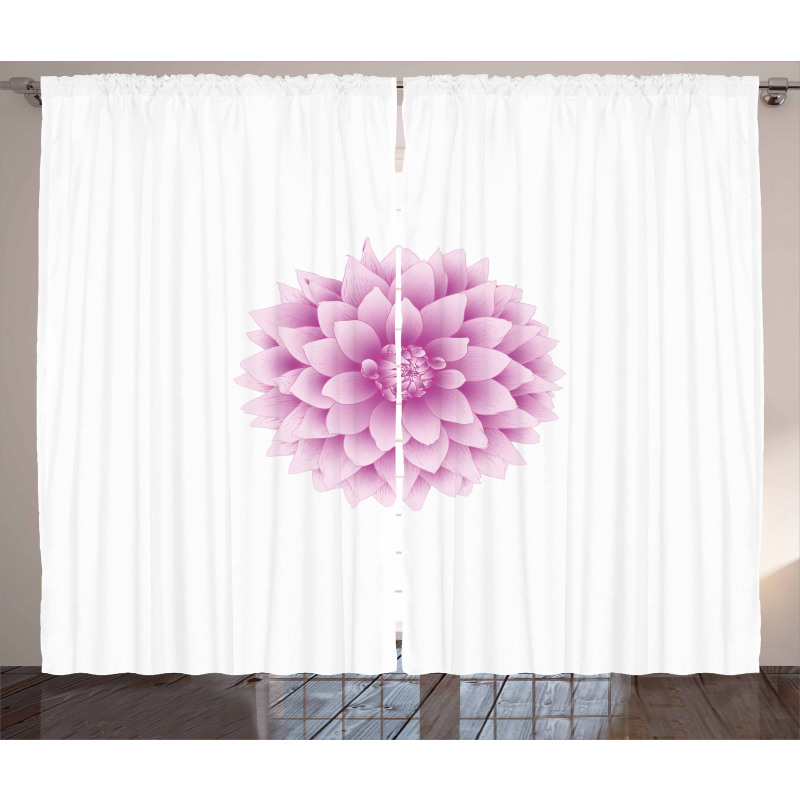 Purple Dahlia with Magenta Curtain