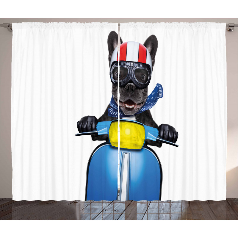 Bulldog on a Scooter Curtain