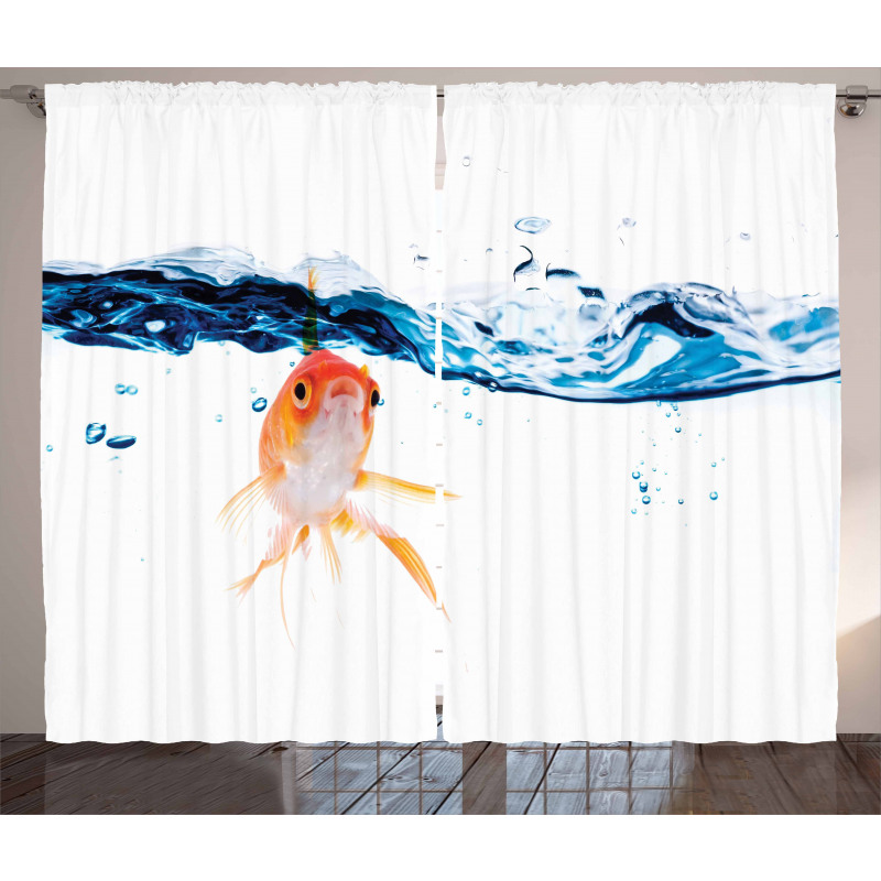 Goldfish Swimming in Water Curtain