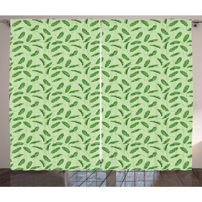 Ecology Botany Curtain