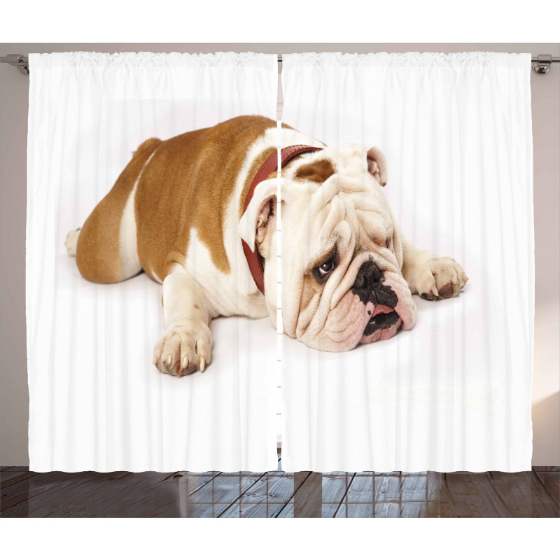 Sad Animal Curtain