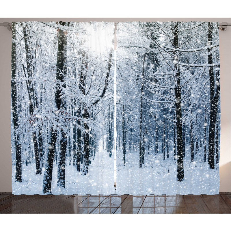 Snow Covered Forest Curtain