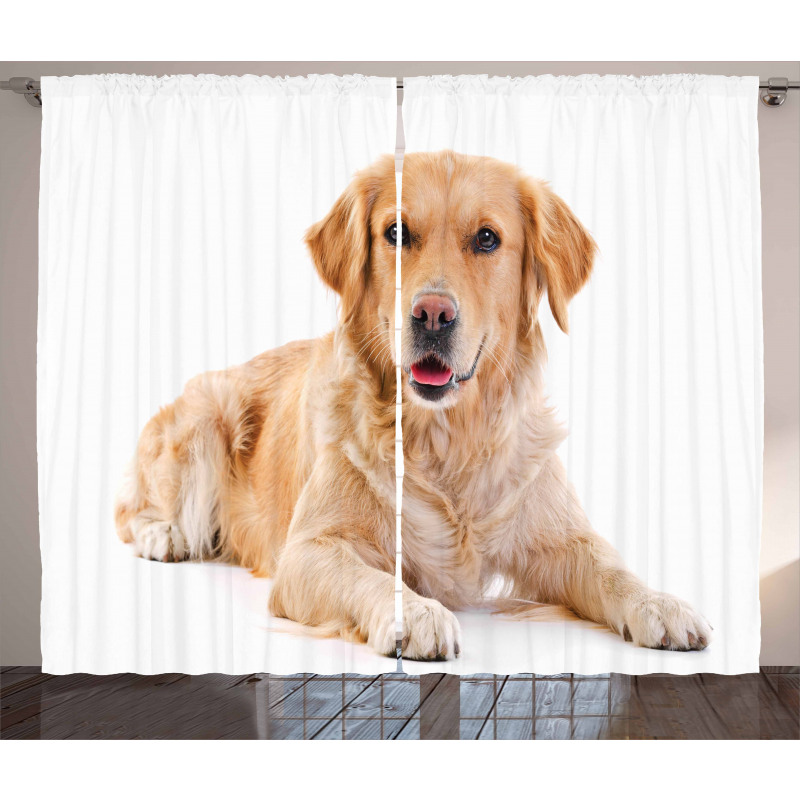 Young Puppy Curtain