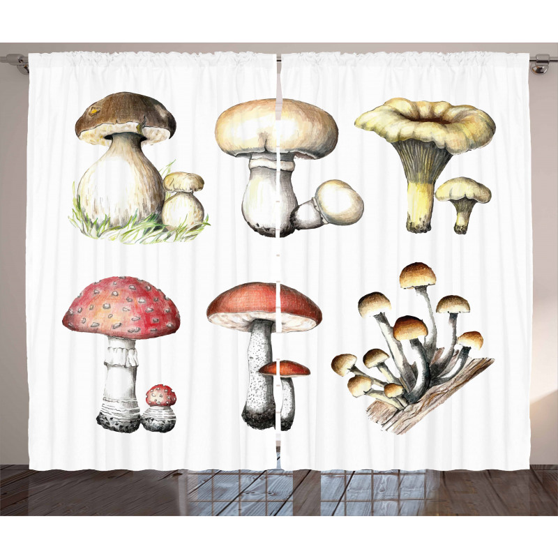 Hand Drawn Fungus Curtain