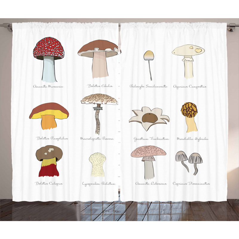 Blusher Boletus Sketch Curtain