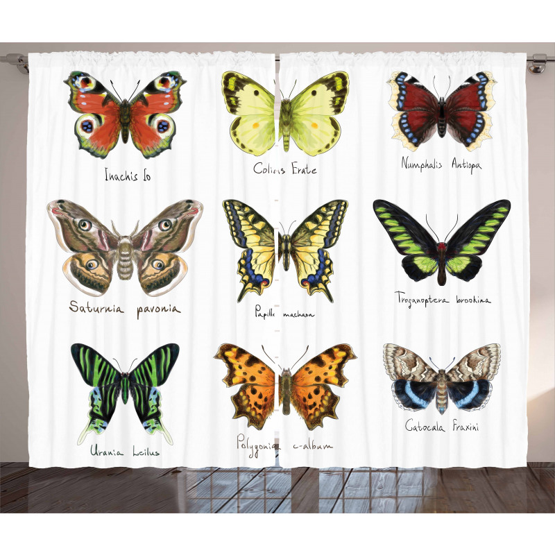 Spring Bugs Pattern Curtain