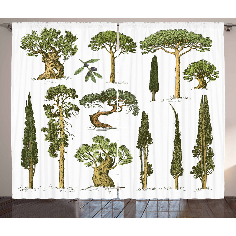 Forest Growth Ecology Curtain