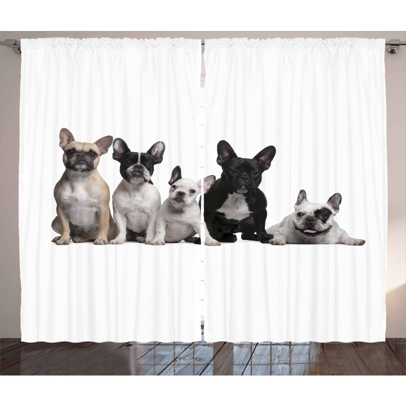 Young Doggies Photo Curtain