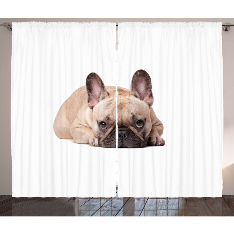 Funny Pet Animal Lovers Curtain