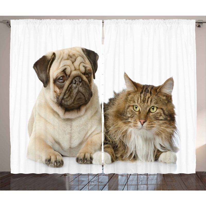 Pets Sitting Studio Shot Curtain