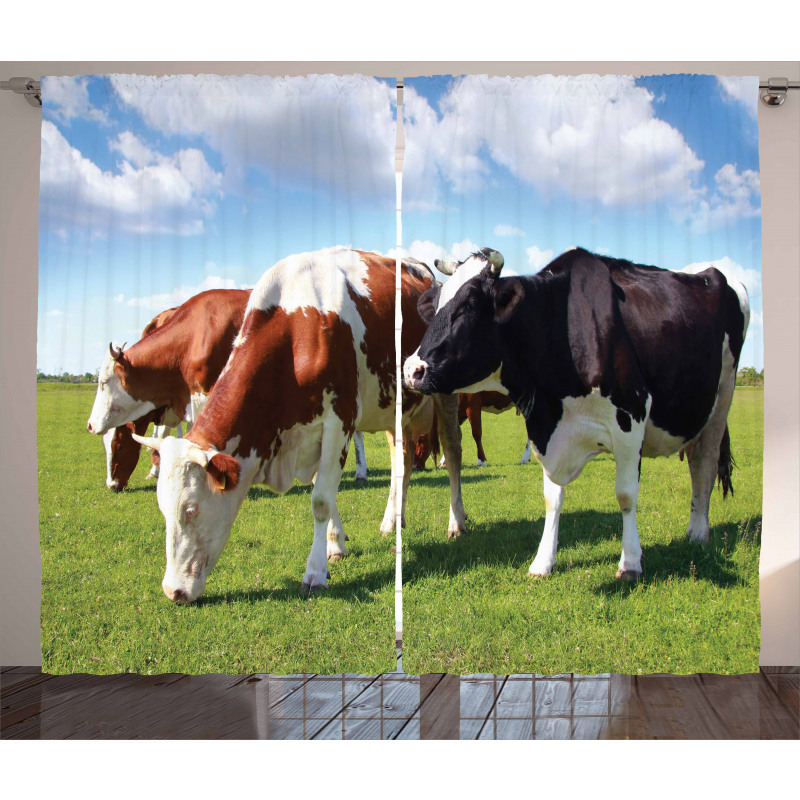 Cows Grazing on Pasture Curtain