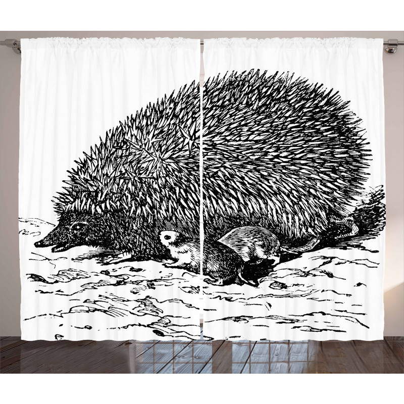 European Hedgehog Curtain