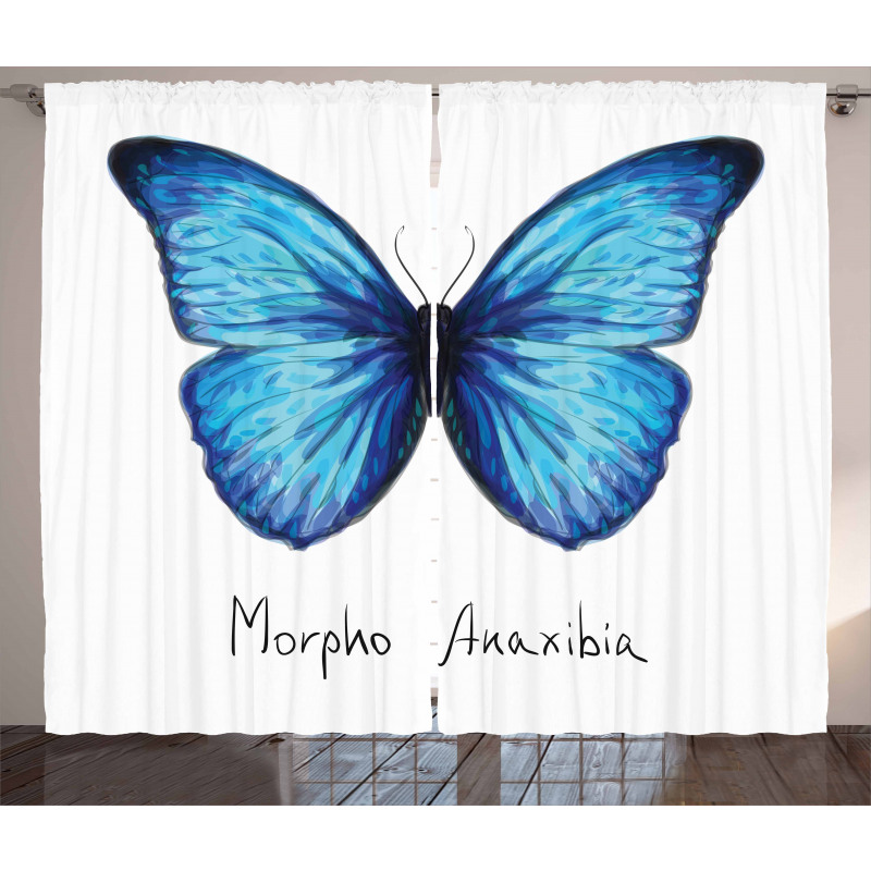 Abstract Butterfly Curtain