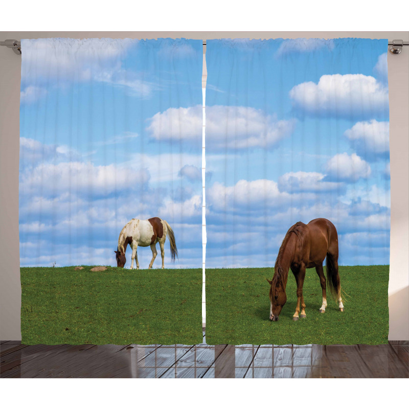 Horses Grazing Meadow Curtain
