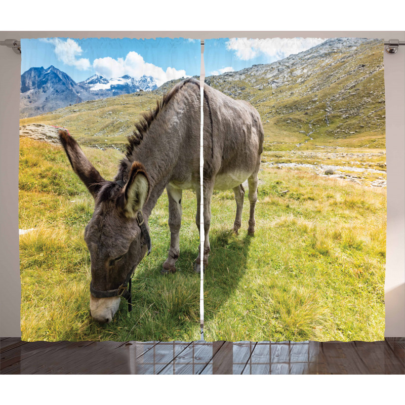 Donkey Eating Grass Mountain Curtain
