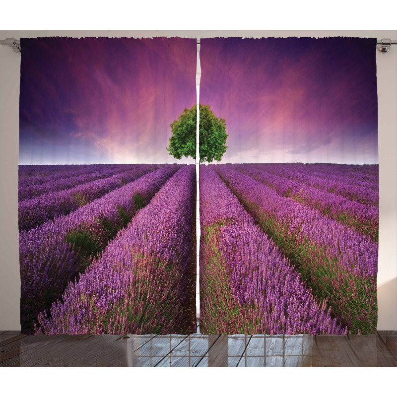 Lavender Fields and Tree Curtain