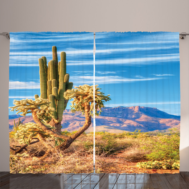 Landscape and Prickle Plant Curtain