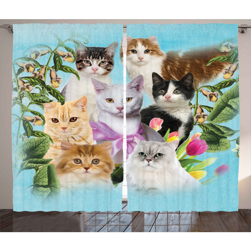Cats Feline Domestic Curtain