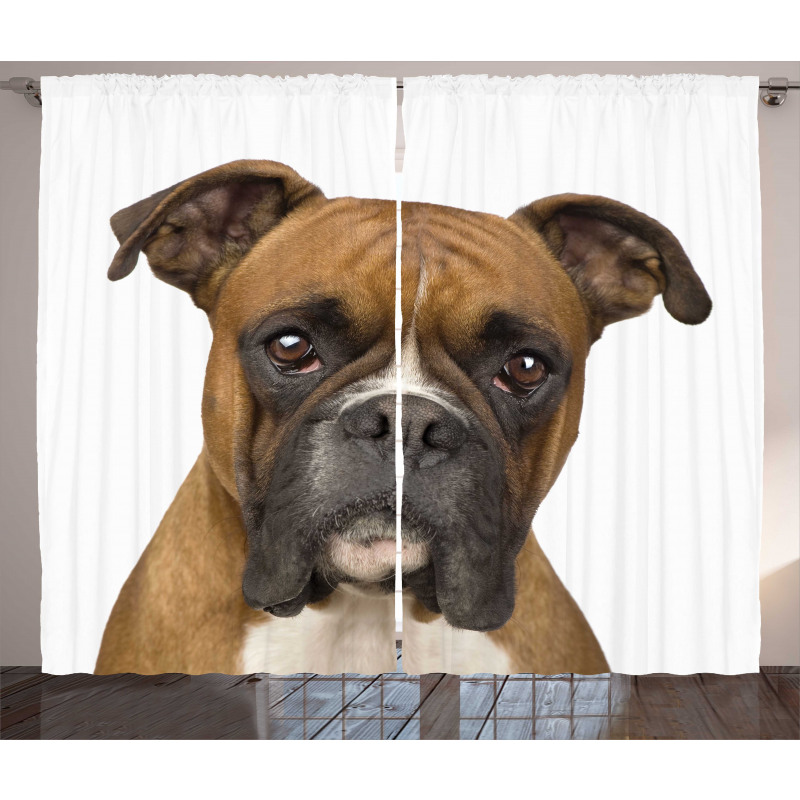 Purebred Dog Front View Curtain