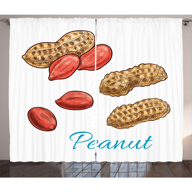 Peanut Sketch of Nut Curtain