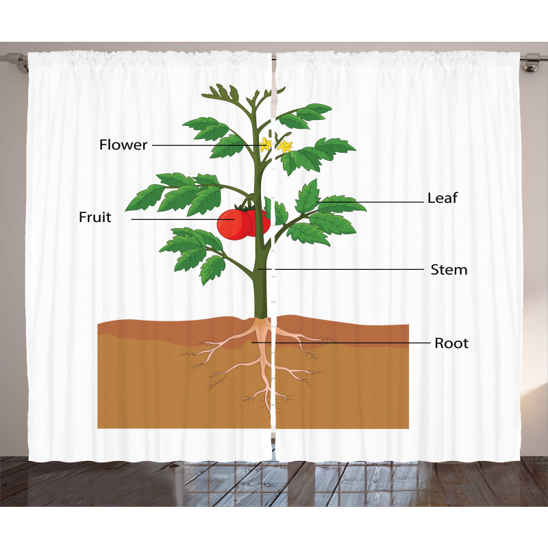 Parts of a Tomato Plant Curtain