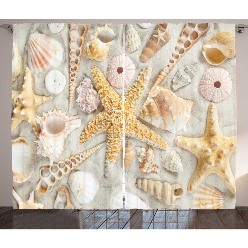 Assorted Seashells Sand Beach Curtain